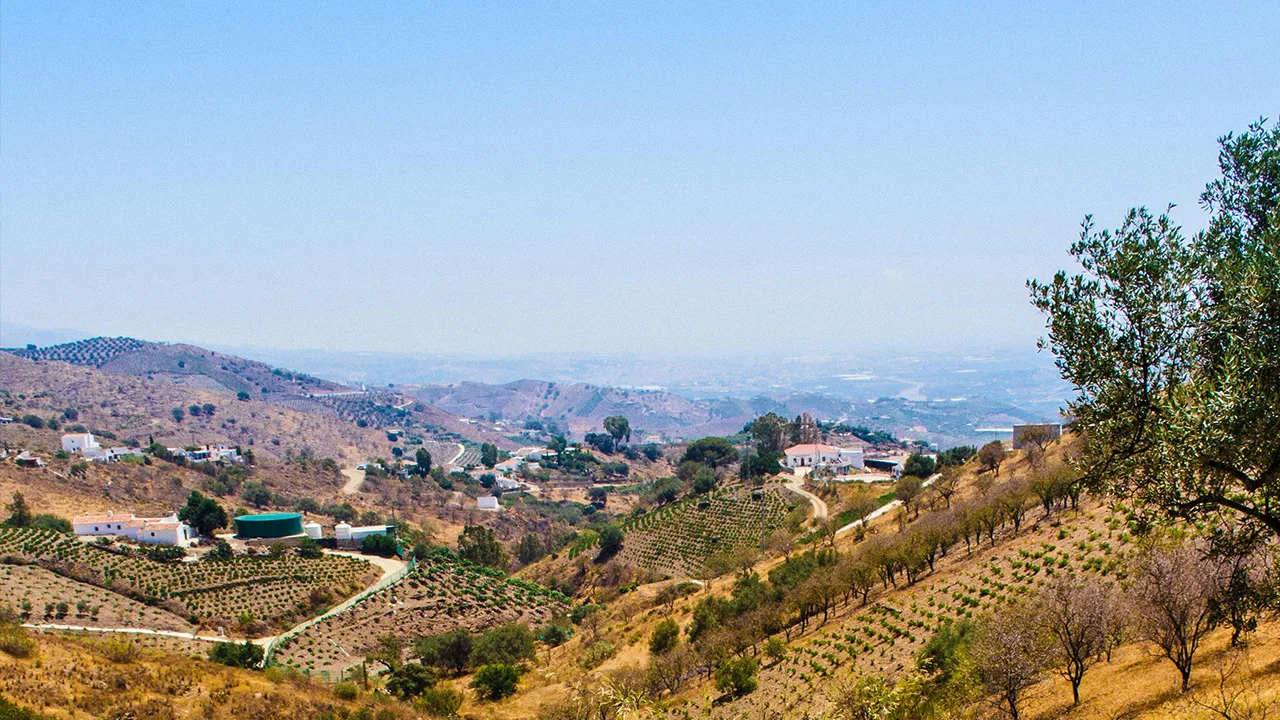 Websites voor makelaars & portaalontwikkeling